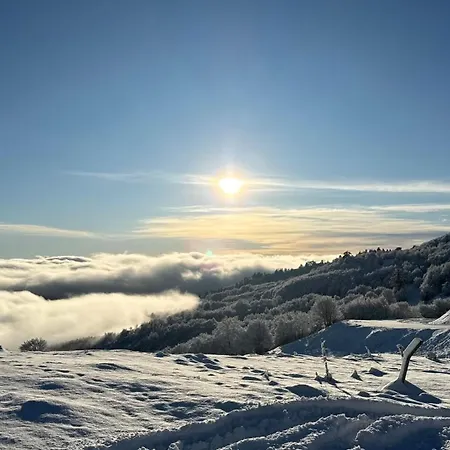 Mpatsilas Vasilitsa *