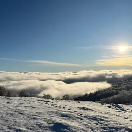 Mpatsilas Vasilitsa * 格雷韦纳