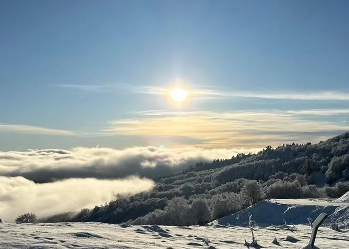 Vasilitsa *