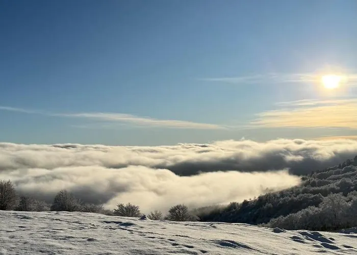 Vasilitsa * Grevena